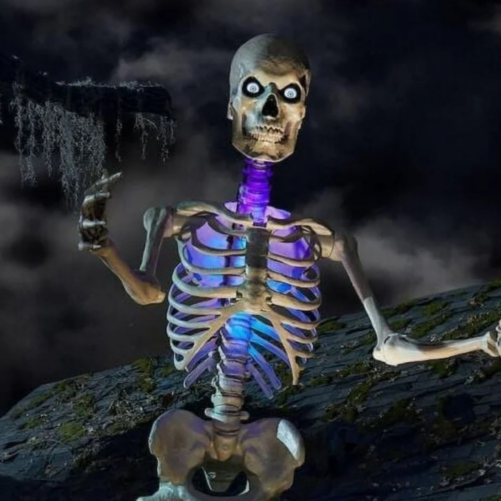 Home Accents Holiday Color Changing LED 12 ft. Skelly Lighting Kit (New in Box)